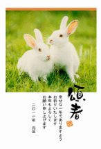 N͂